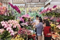 ӭ���仨�� ������ζŨ