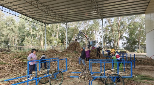 ��˼�������I��ע�롰Ó��о�� �»����깩1.7�f�����N���r����