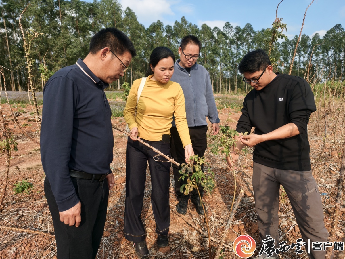 中越携手促协作国际青年人才交流项目圆满结题(图2)