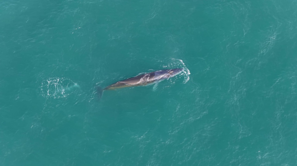 1��30�ս��c�D