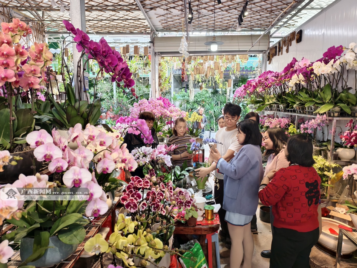 1��31�ս���ͼ