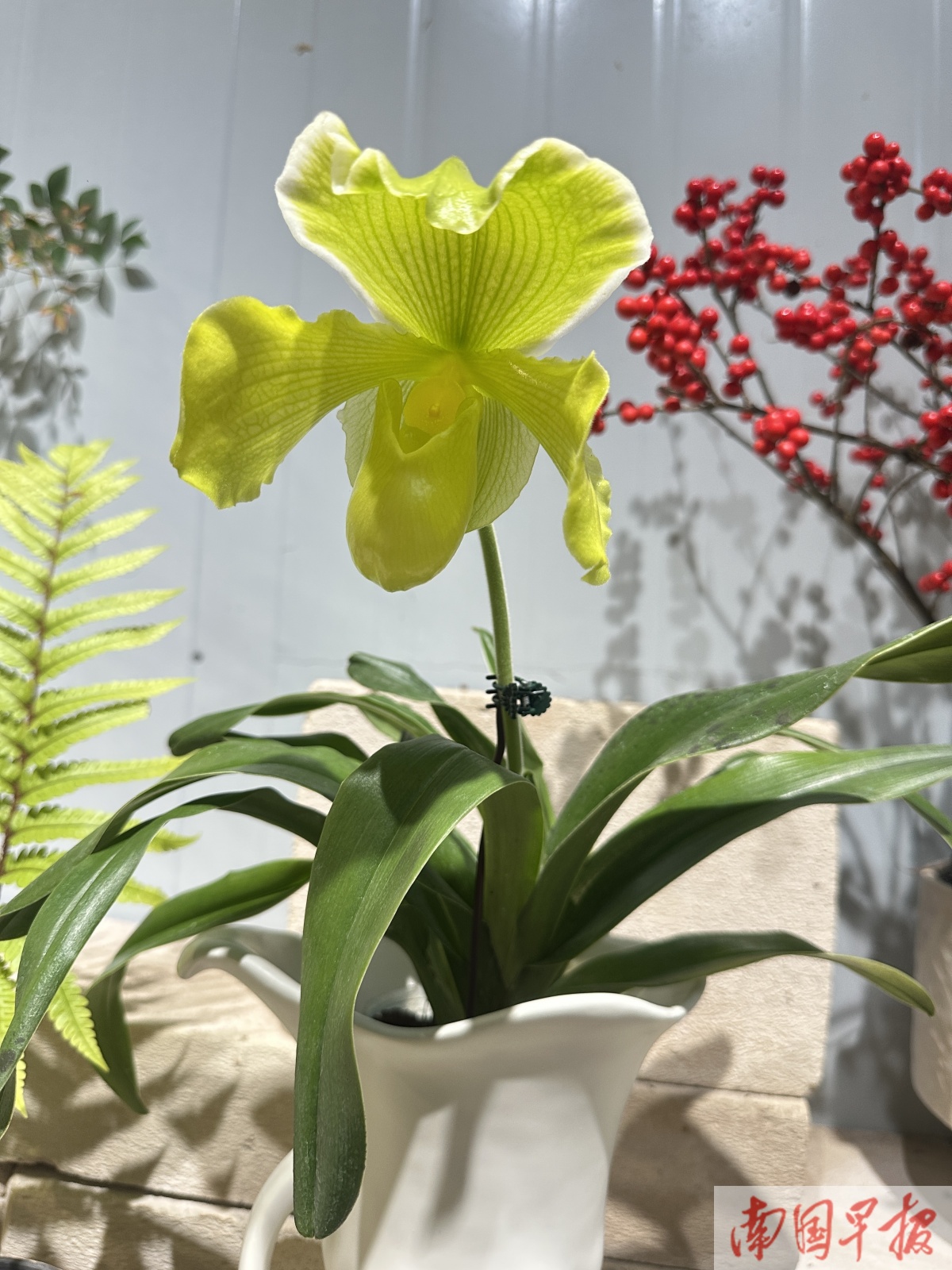 1��31�ս���ͼ