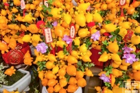 ����ӭ�����п������������û��