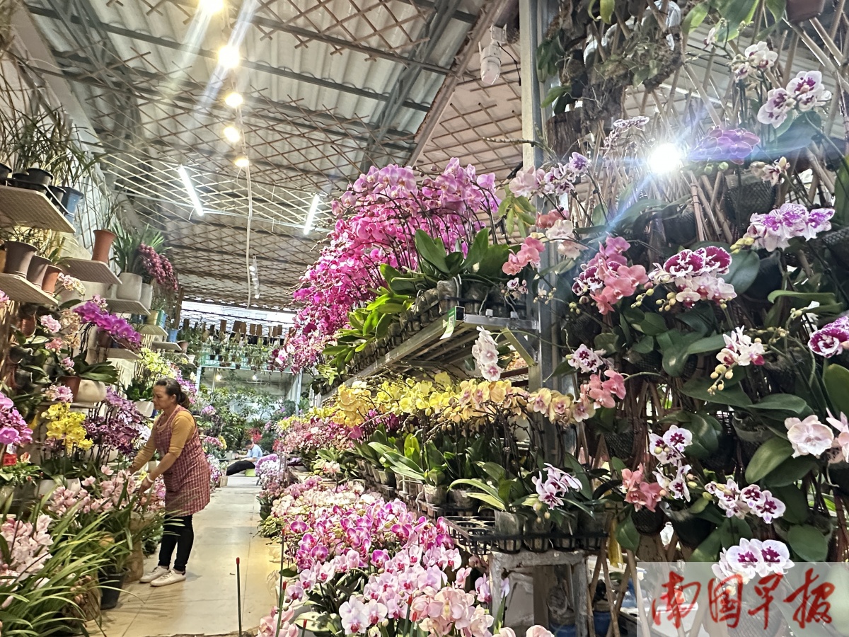 1��31�ս���ͼ