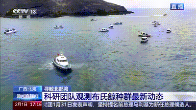 从涠洲岛到三娘湾 探访广西北部湾生态守护之路