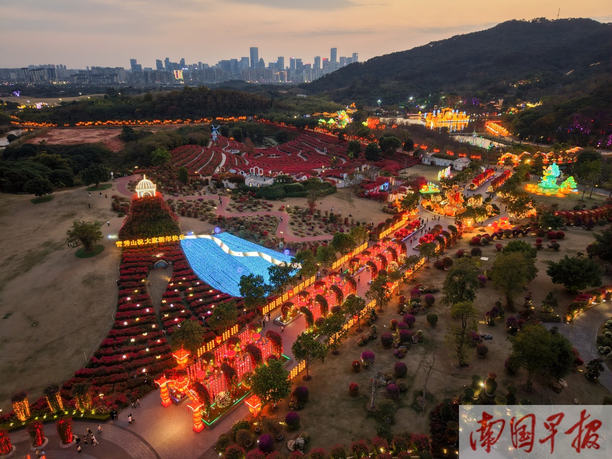 2��1�ս��c�D