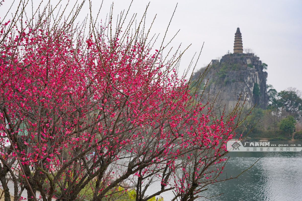 2��2�ս��c�D