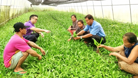 �Ї�(gu��)�����|�ˌ�(sh��)�`ح�������� �V���О�