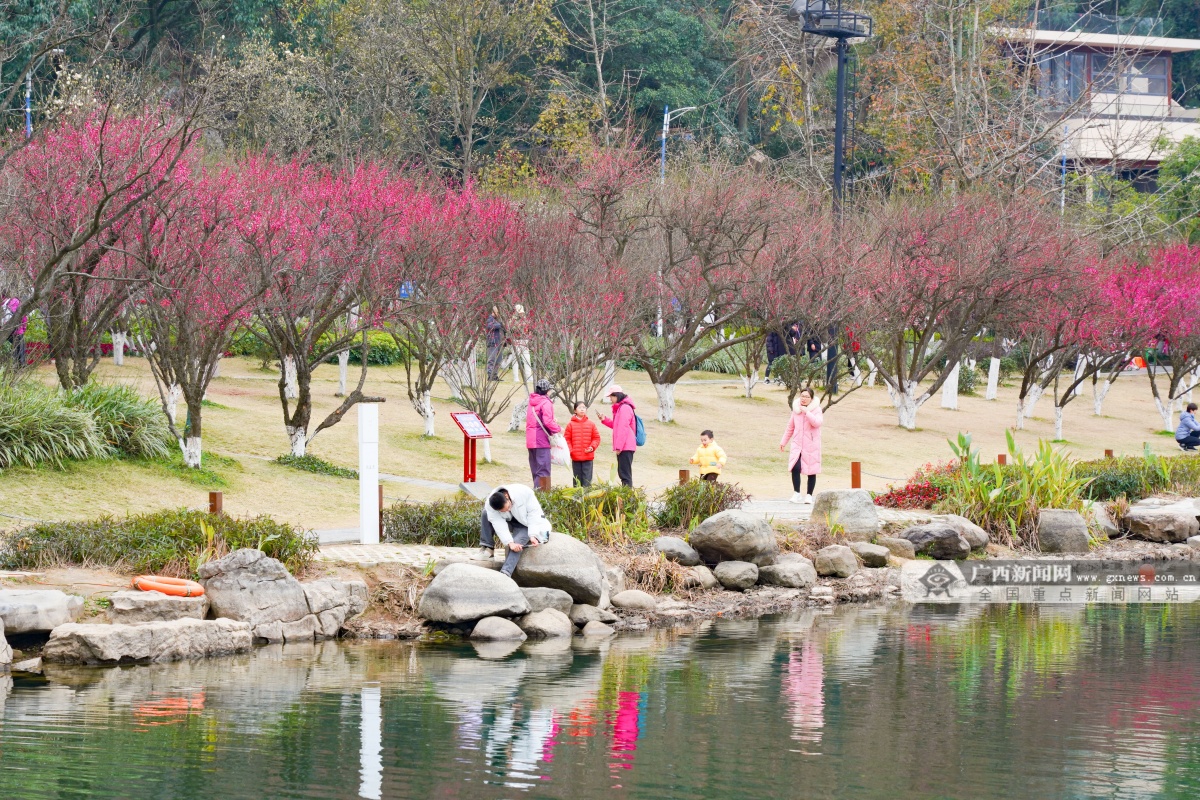 2��2�ս��c�D