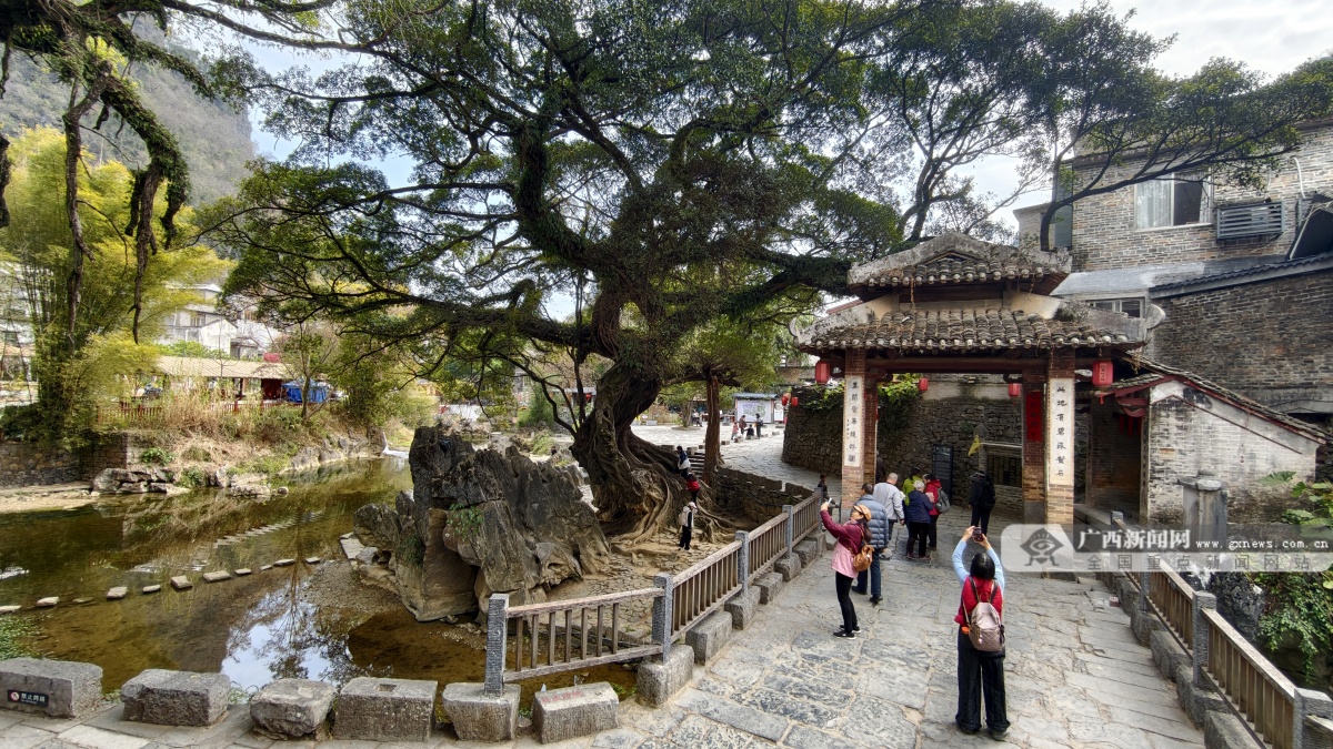 2��3�ս��c(di��n)�D