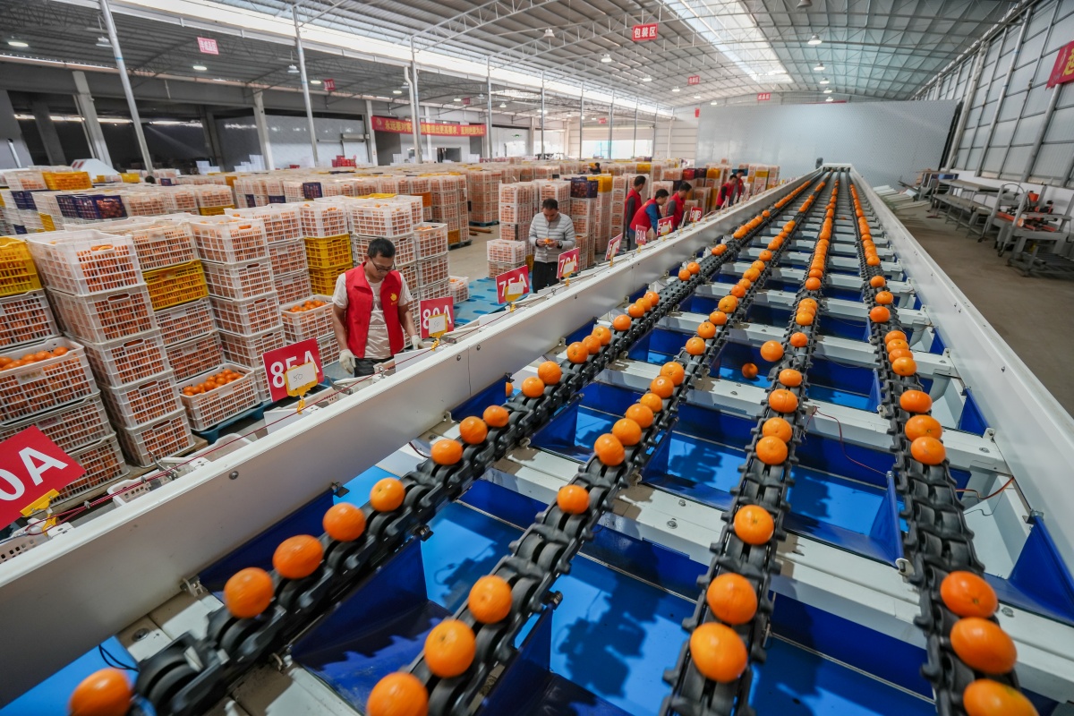 ������Ĺ�������������������AI�����ָ̲�ҵ ��һ�Ź�ʵ������������