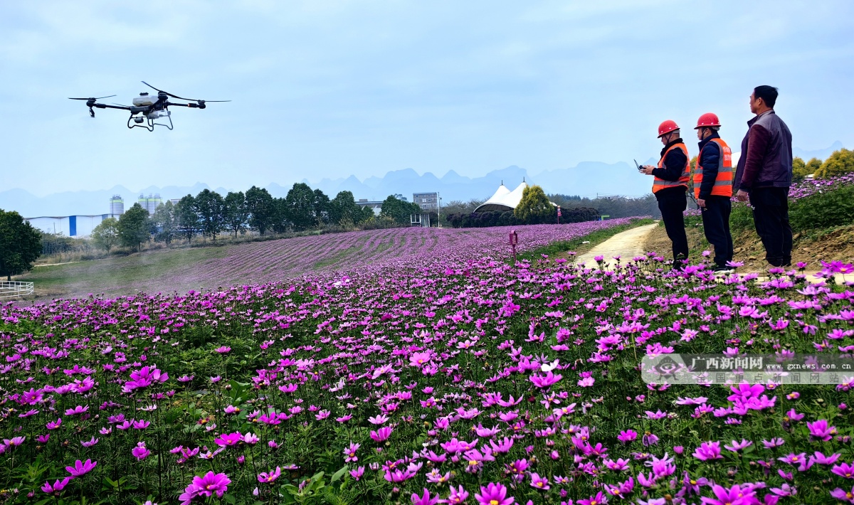 2��4�ս��c(di��n)�D