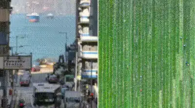 ����Ĳ� ���^(q��)ֱ�ۣ͢��R�����g���^����۟��������6С�r(sh��)Ҋ(ji��n)�C�V���߲ˡ��r���ĘO��