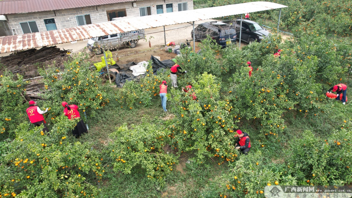 春运暖途！桂西公路“志愿红”温暖回家路