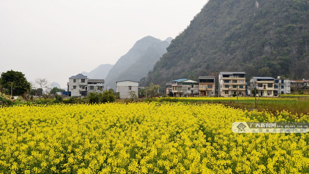 2��5�ս��c(di��n)�D