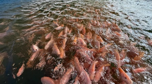 ҕ�l | �~(y��)�rס�M(j��n)���ǻۺ�լ����ʲô�w�(y��n)�����(l��i)����