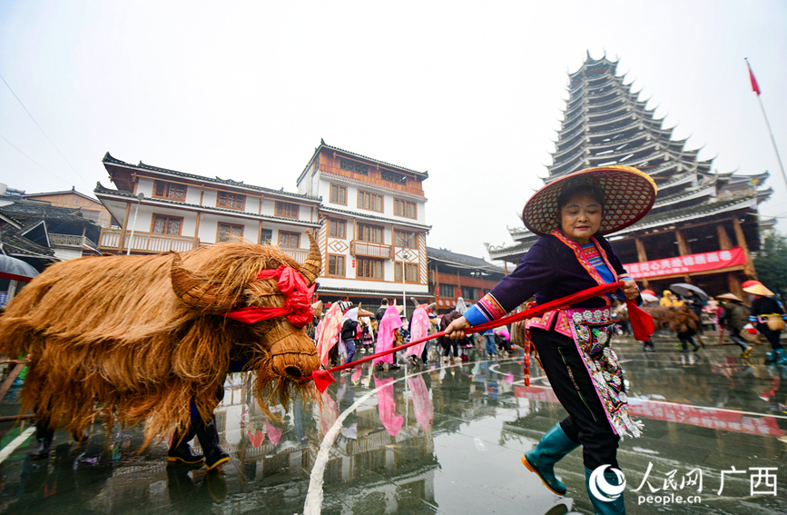 龙胜：“闹春牛” 迎立春