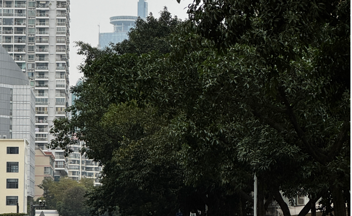 冷空气“到货”，南宁最低气温或跌至个位数