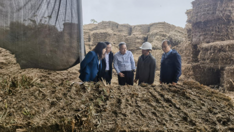 �ƶ���ɫ�����գ�����Ҫ����Ҷ�����豸����ũ����������