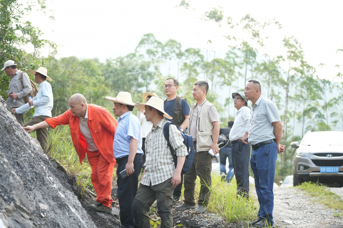 广西板才矿区锌多金属矿详查获重大突破