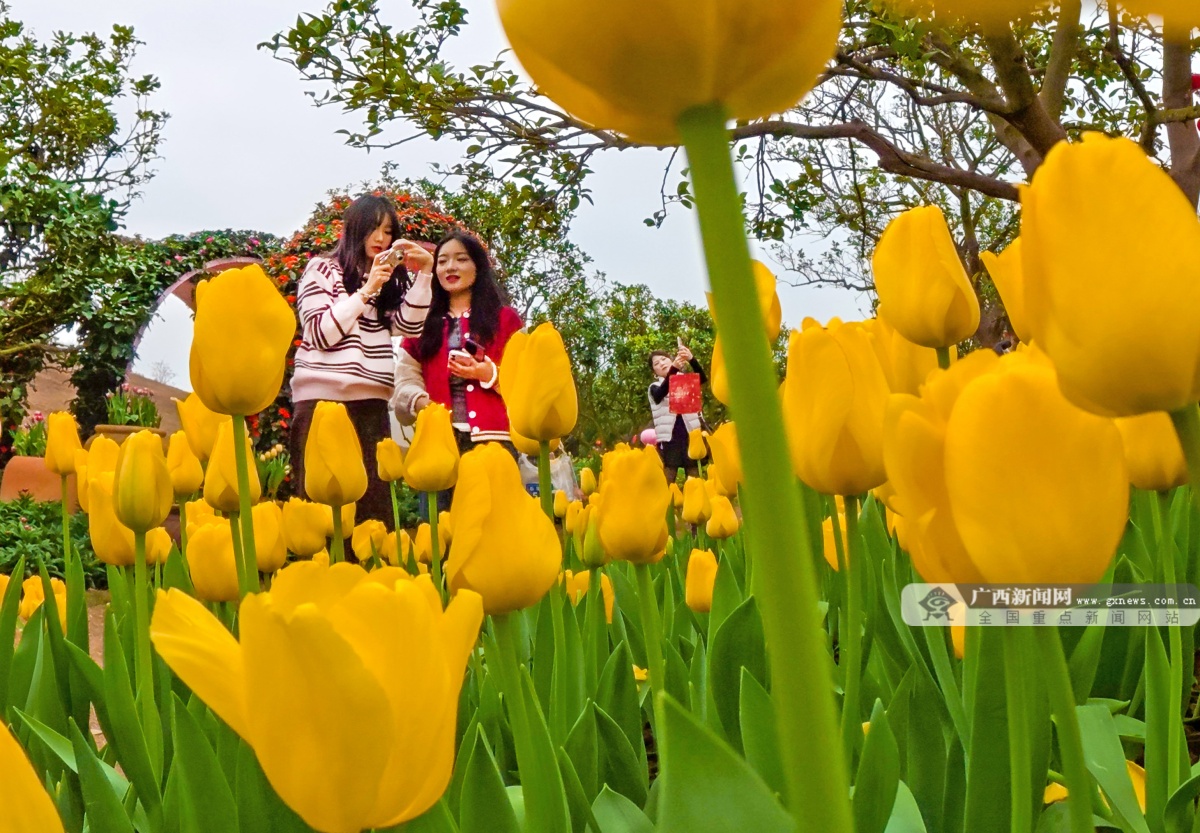 2��8�ս���ͼ