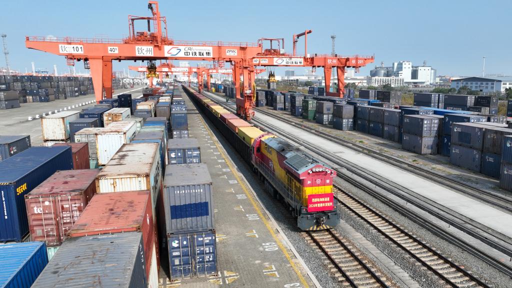 “跨国年货”经西部陆海新通道班列往来频繁