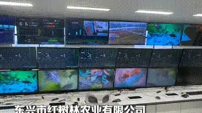 AI�򺣣����ƴ�ͳ��ҵ���ǻ�ת��