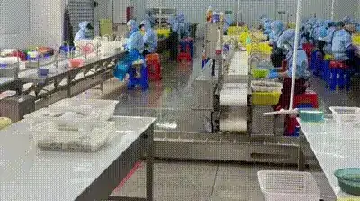 ���˺���Ʒ�ӹ���ǰæ