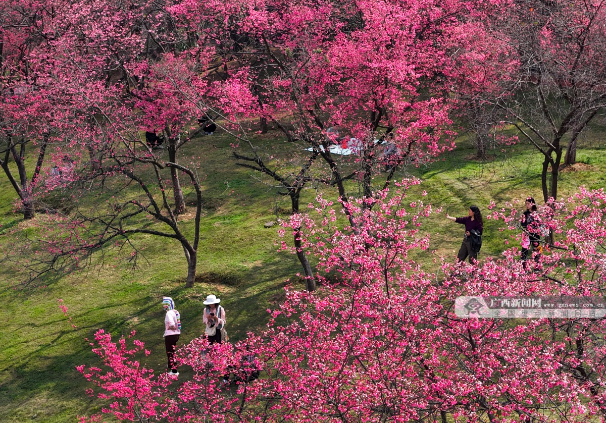 2��16�ս��c(di��n)�D