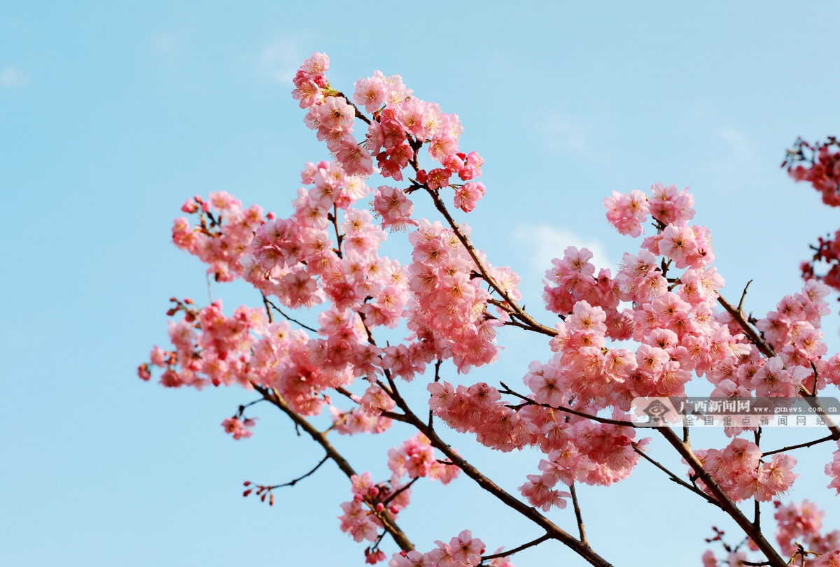 2��17�ս��c(di��n)�D