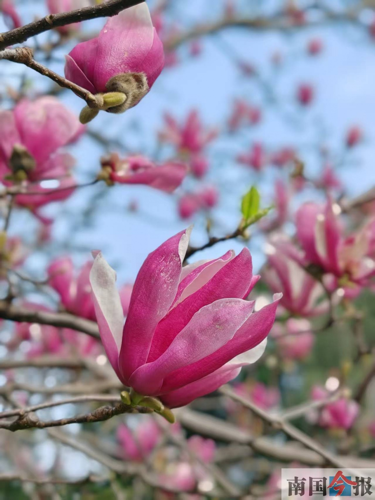 2��17�ս��c�D