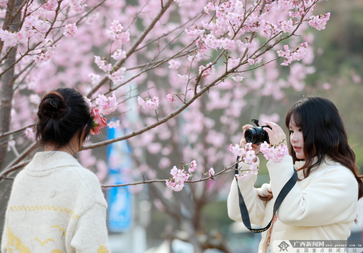 2��17�ս��c(di��n)�D