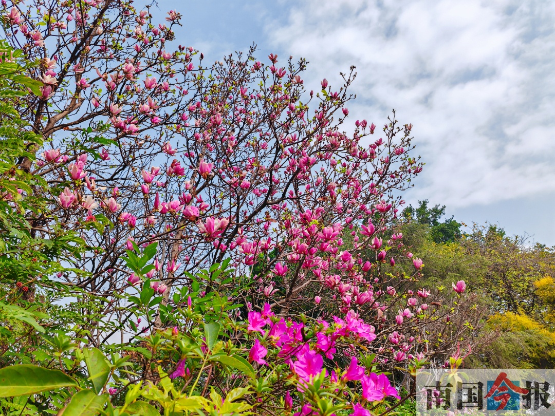 2��17�ս��c�D