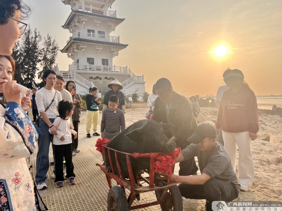 2��18�ս��c(di��n)�D