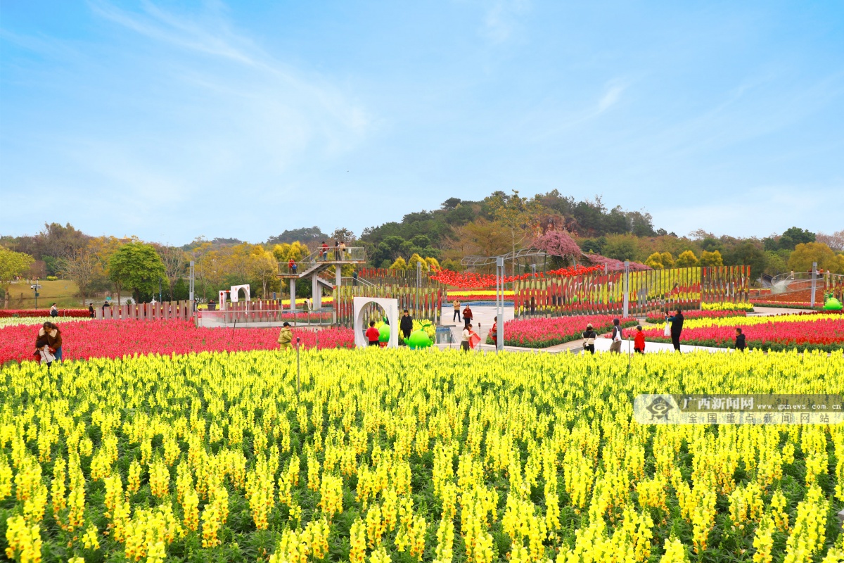 2��19�ս��c(di��n)�D