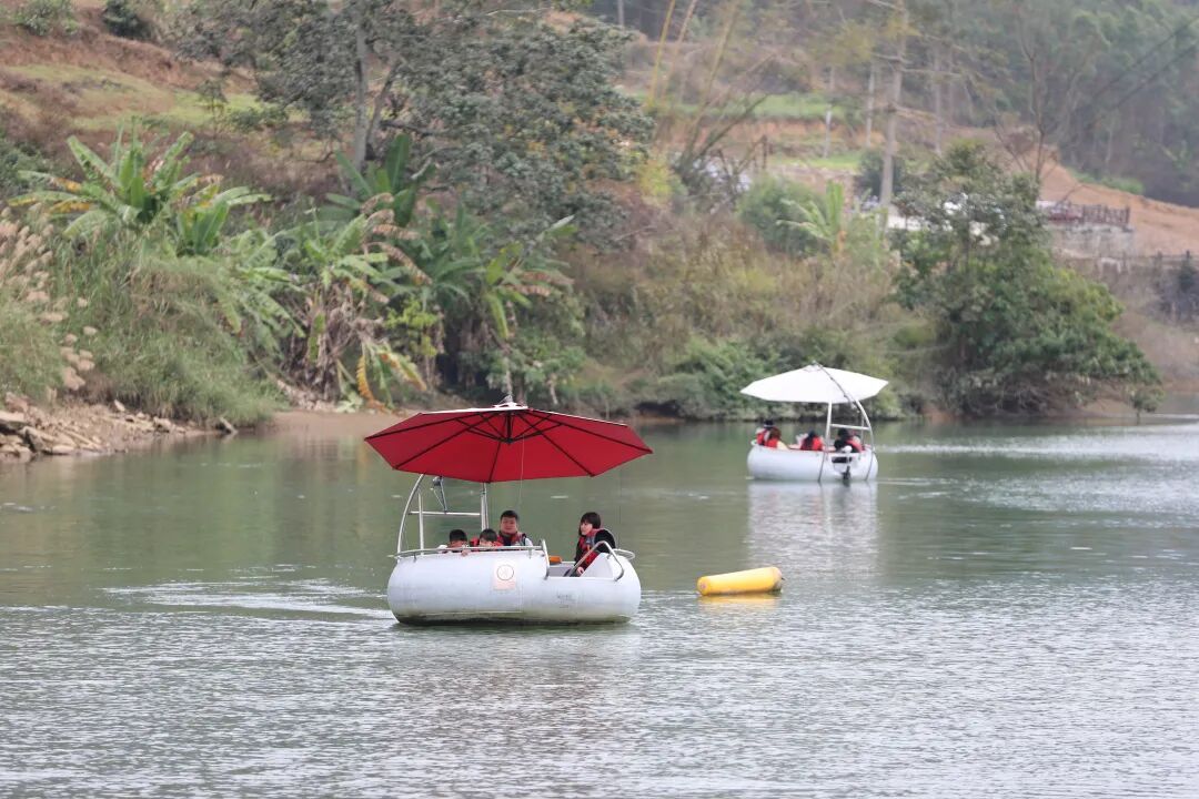 2��22�ս��c�D