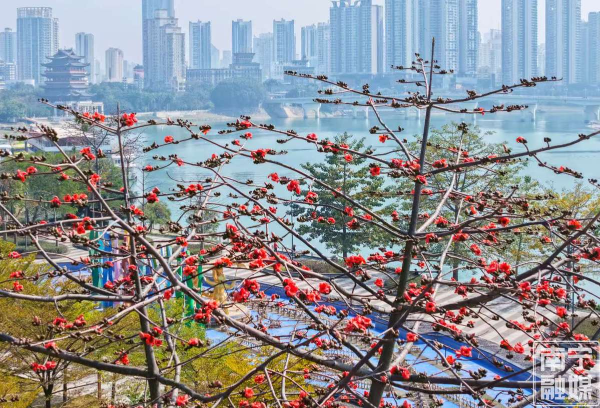 2��21�ս��c�D