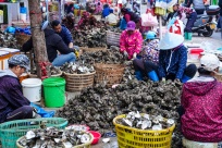 ������ۣ������ ӭ�ο�