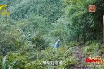 ͬ�Ļ��ֺ� �����̻�����������������ȫ��������ͥ�¼�չ��