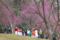 �ό�ʯ�T���@�ѻ��_ �δ������g