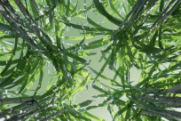 ��¼Ƭ���������;��CCTV-4���տ���