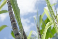 �й�ÿ3�����ᣬ����2�����Թ���ح��¼Ƭ���������;����һ�������мκ̡�