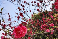 ���ȿ������ݻ�����ˮ���1000�����һ�����