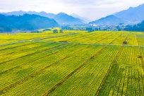 2��26�ս���ͼ