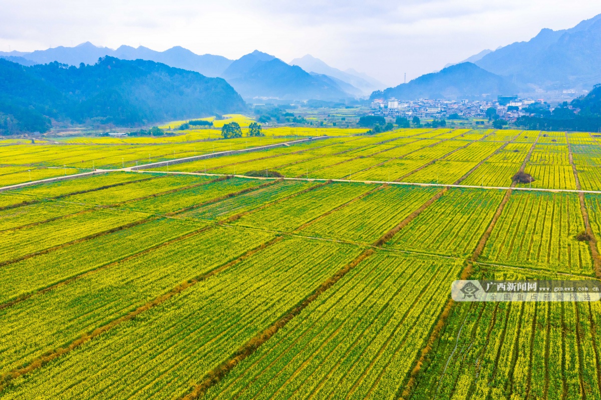 2��26�ս���ͼ