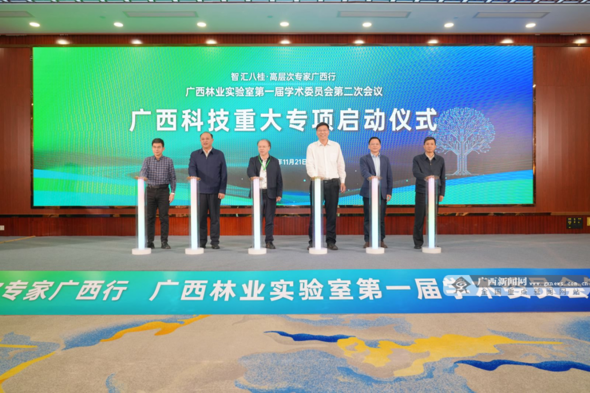 中国林学会为广西林业产业注入新动能(图2)