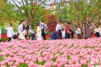 �ں��������ȶȲ��� �̳���������Ũ������