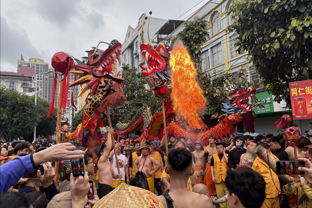 龙腾狮跃闹新春 非遗焕彩耀宾阳——2026宾阳新春非遗巡游精彩上演