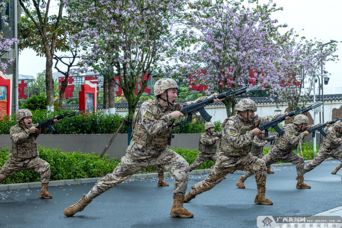 ��ǹ��н�� ʹ��������