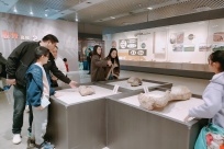 �������˹𡪡������������մ�չ�������ڶ��ο�